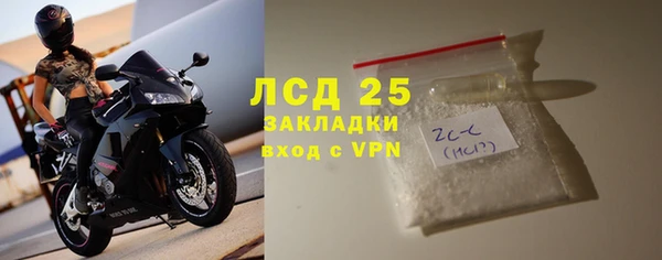бошки Бородино