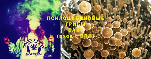 apvp Снежногорск