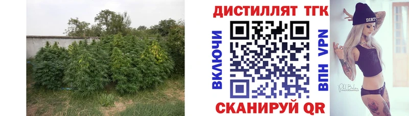 ТГК вейп  где купить   Дмитриев 